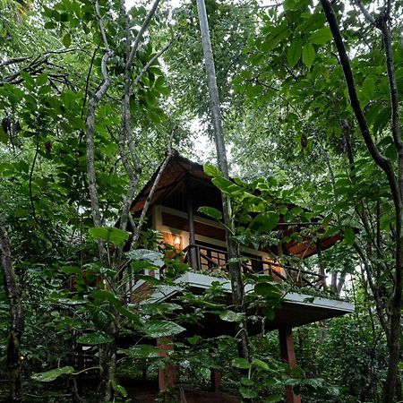Coffee Acres Resort Kalpetta Exterior photo