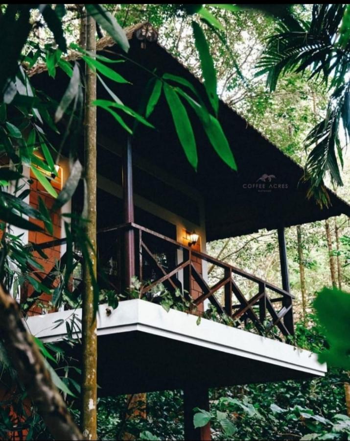 Coffee Acres Resort Kalpetta Exterior photo